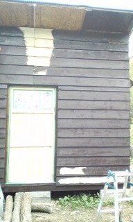 2012-08-02_siding3.jpg
