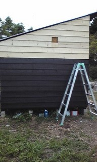 2012-08-02_siding4.jpg