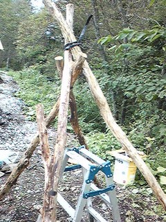 20120926_toilet_koya1.jpg