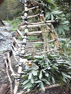 20120926_toilet_koya2.jpg