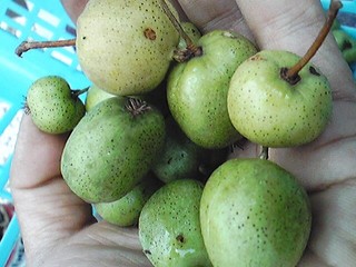 20120929_kokuwa.jpg