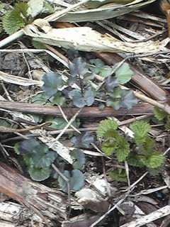 20130429_creson.jpg