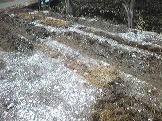 20130429_hatake.jpg