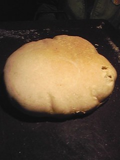 20130510_pan3.jpg