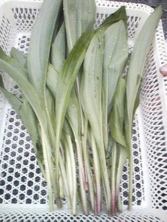 20130524_gyoujaninniku.jpg