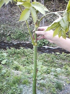 20130524_udo1.jpg