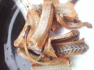 20130613_snake6.jpg