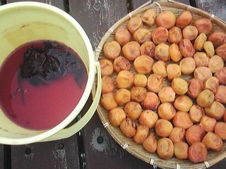 20130708_umeboshi.jpg