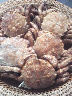 20130710_kani.jpg