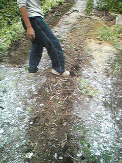 20130718_santosai4.jpg